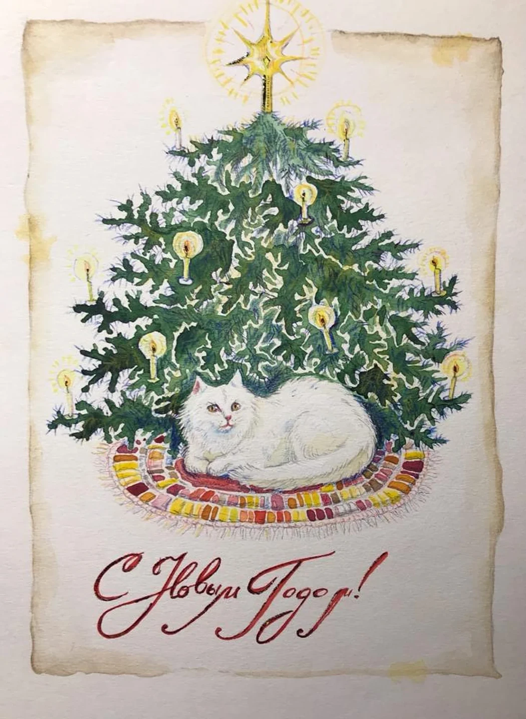 «Кот»