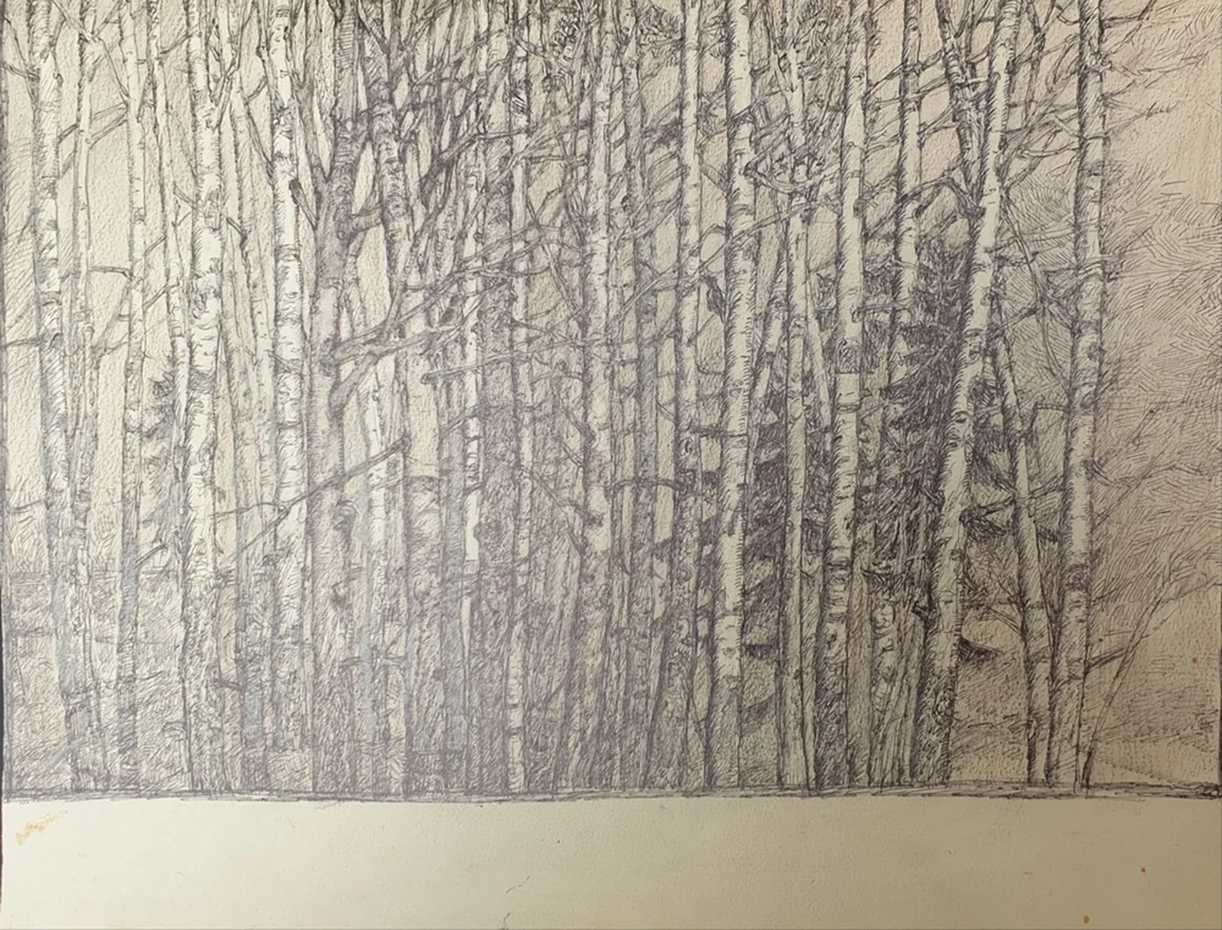 lot 163. «Березы»