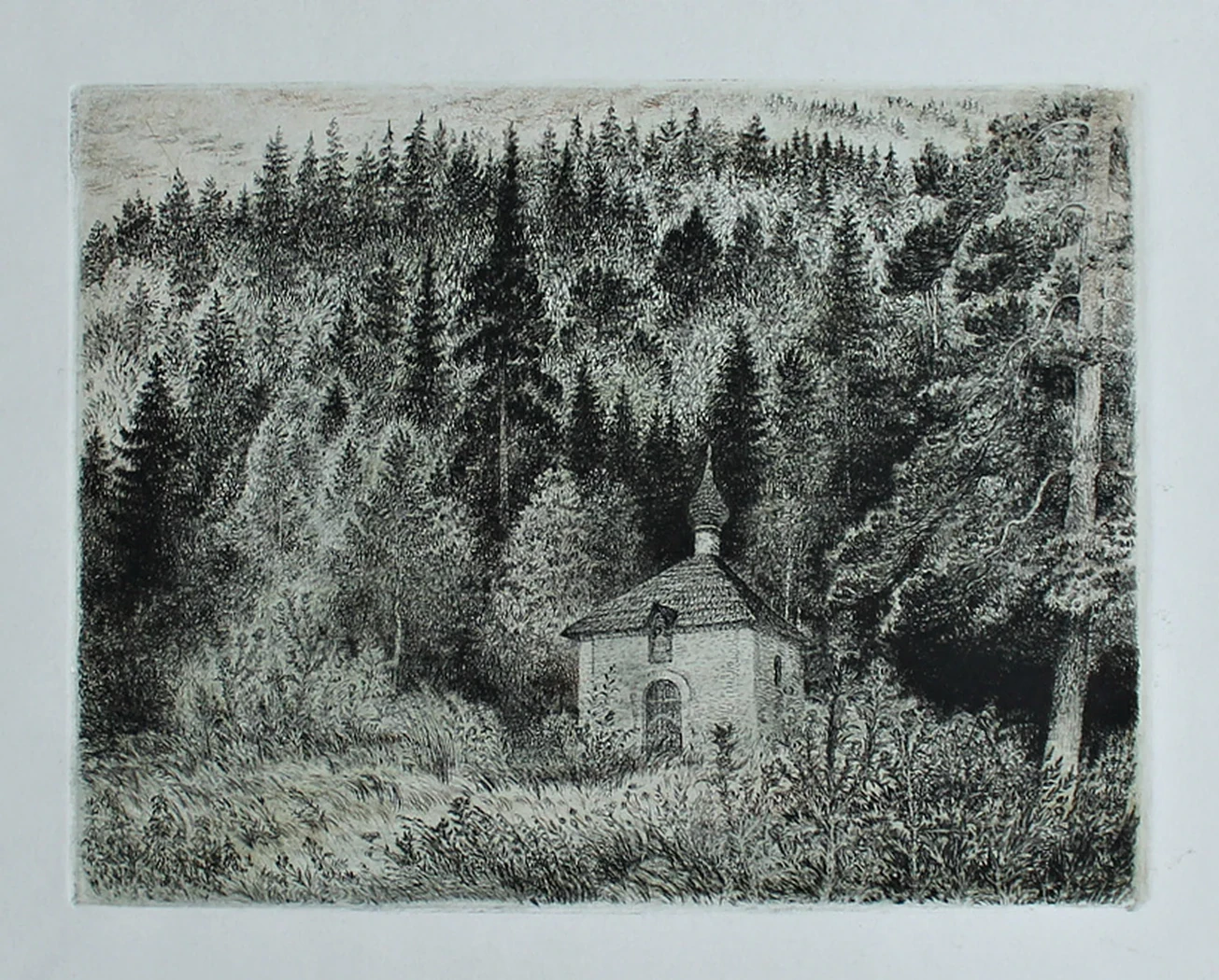 lot 208. «Лесное диво»