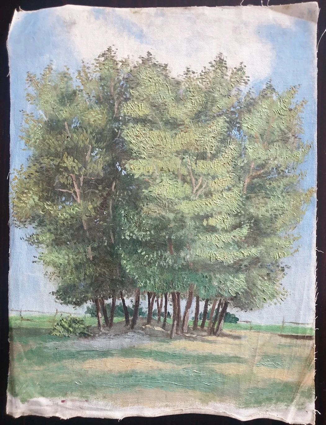 lot 243. «Деревья»