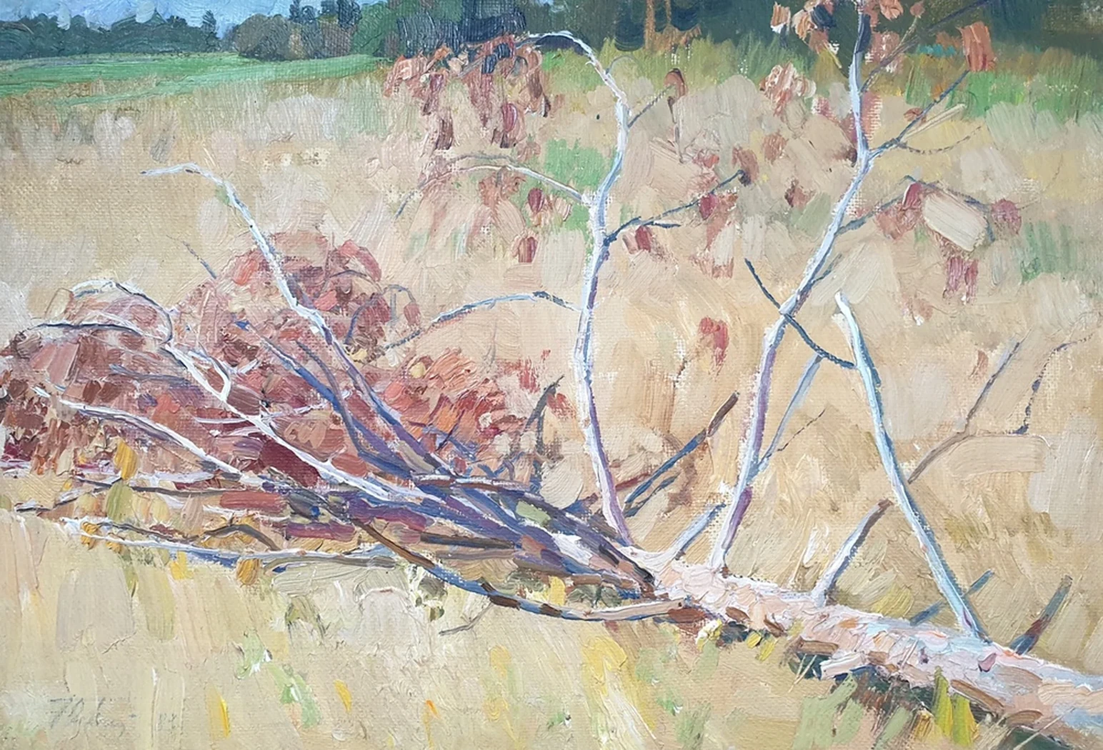 lot 182. «Этюд поваленной сосны»