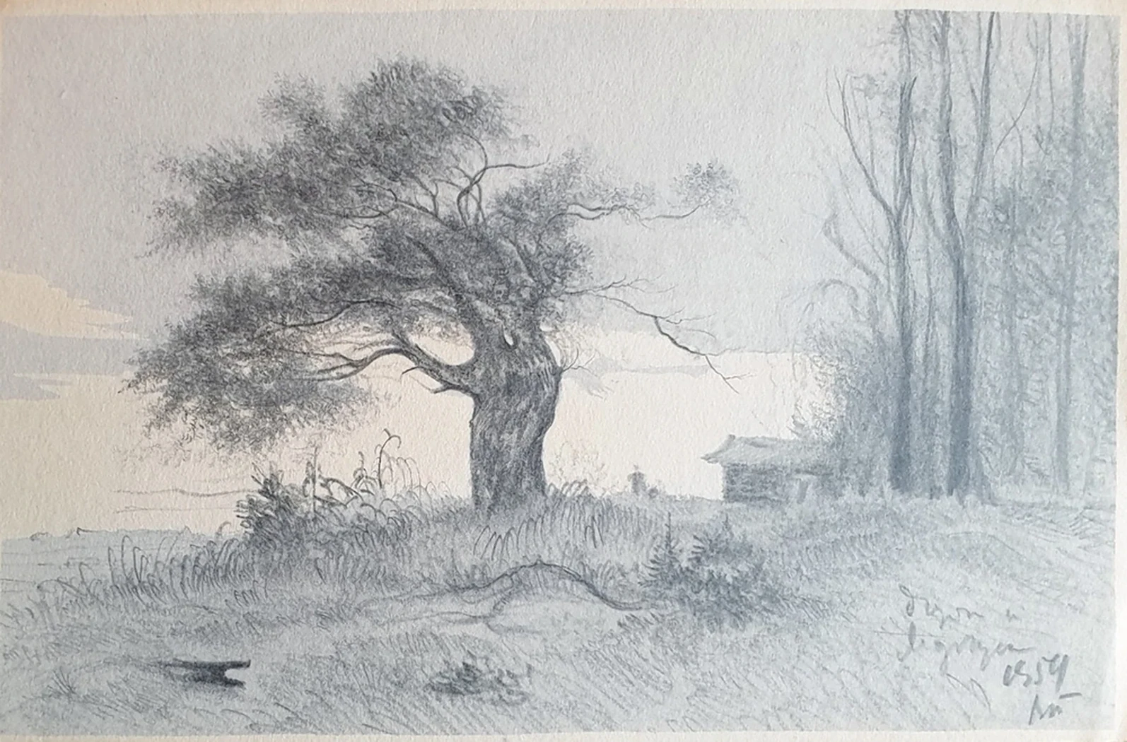 lot 10. «У озера»