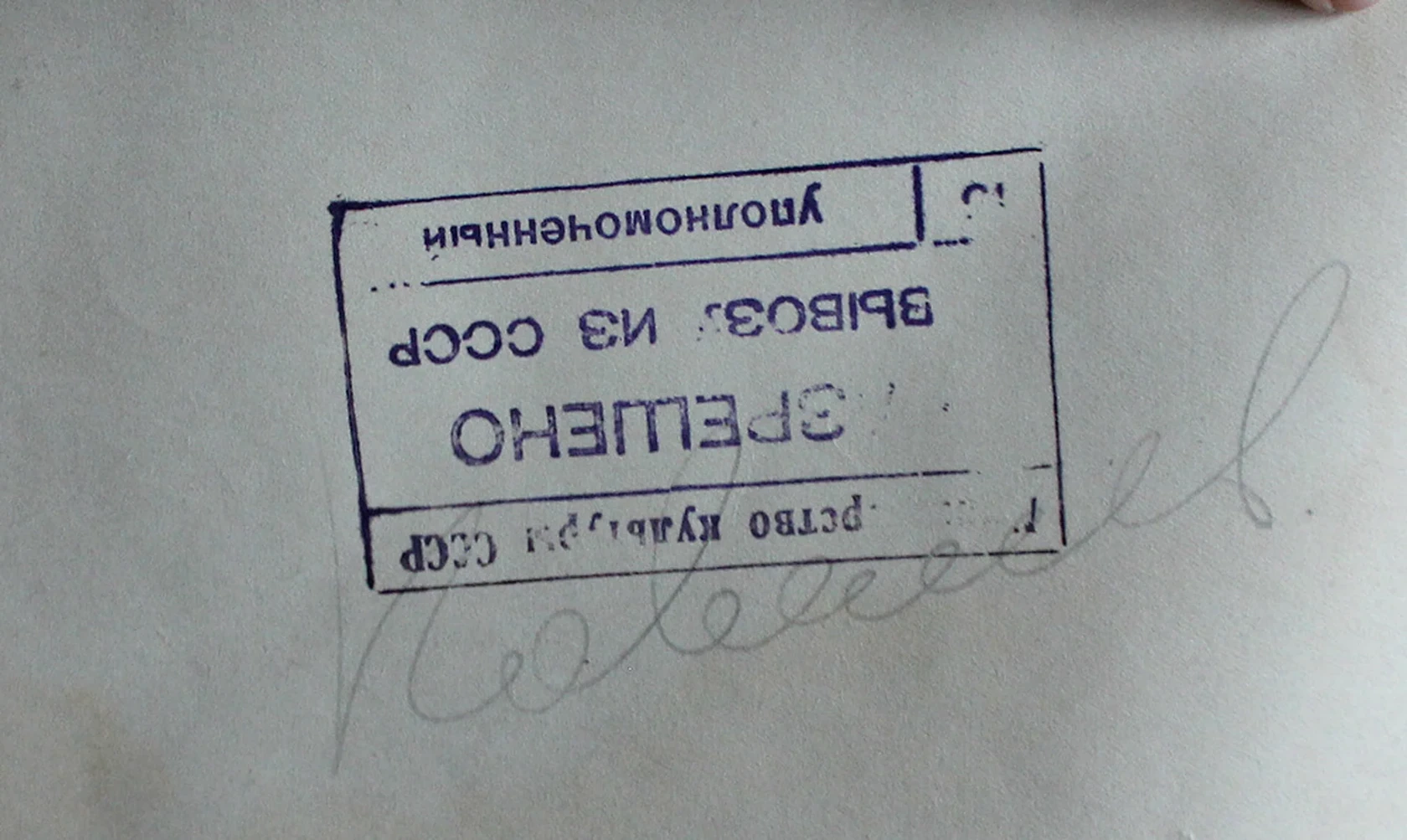 «Женская одетая модель»