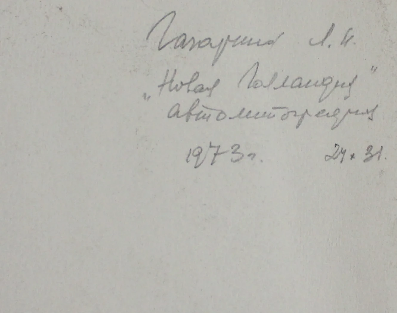 «Новая Голландия»