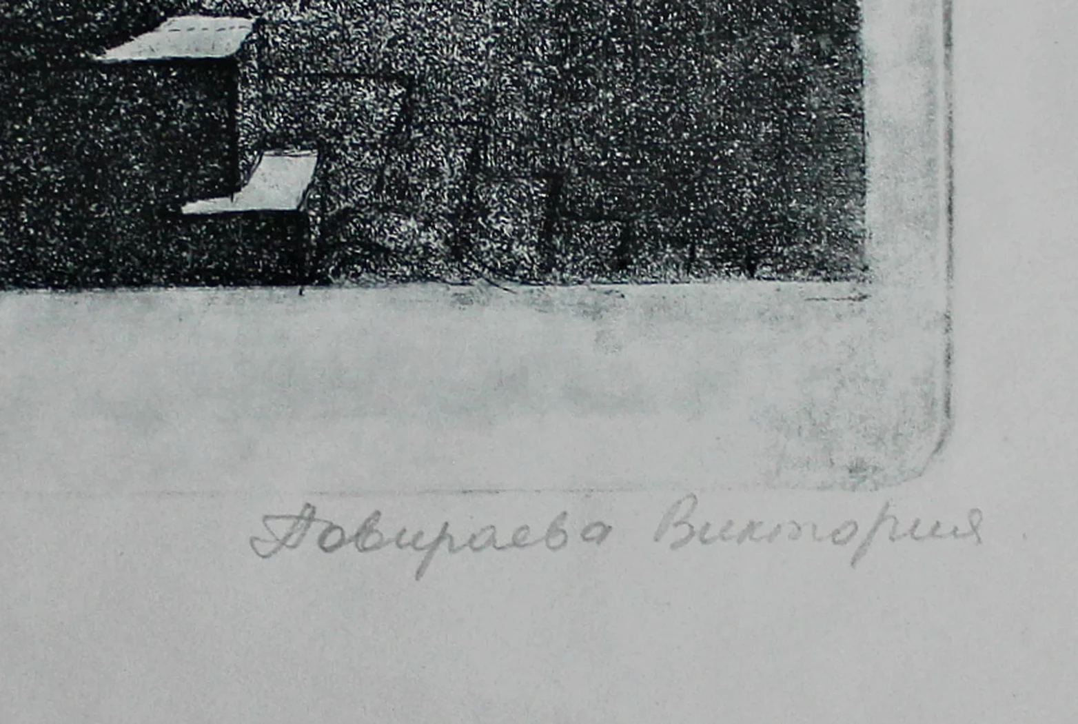 «Львы»
