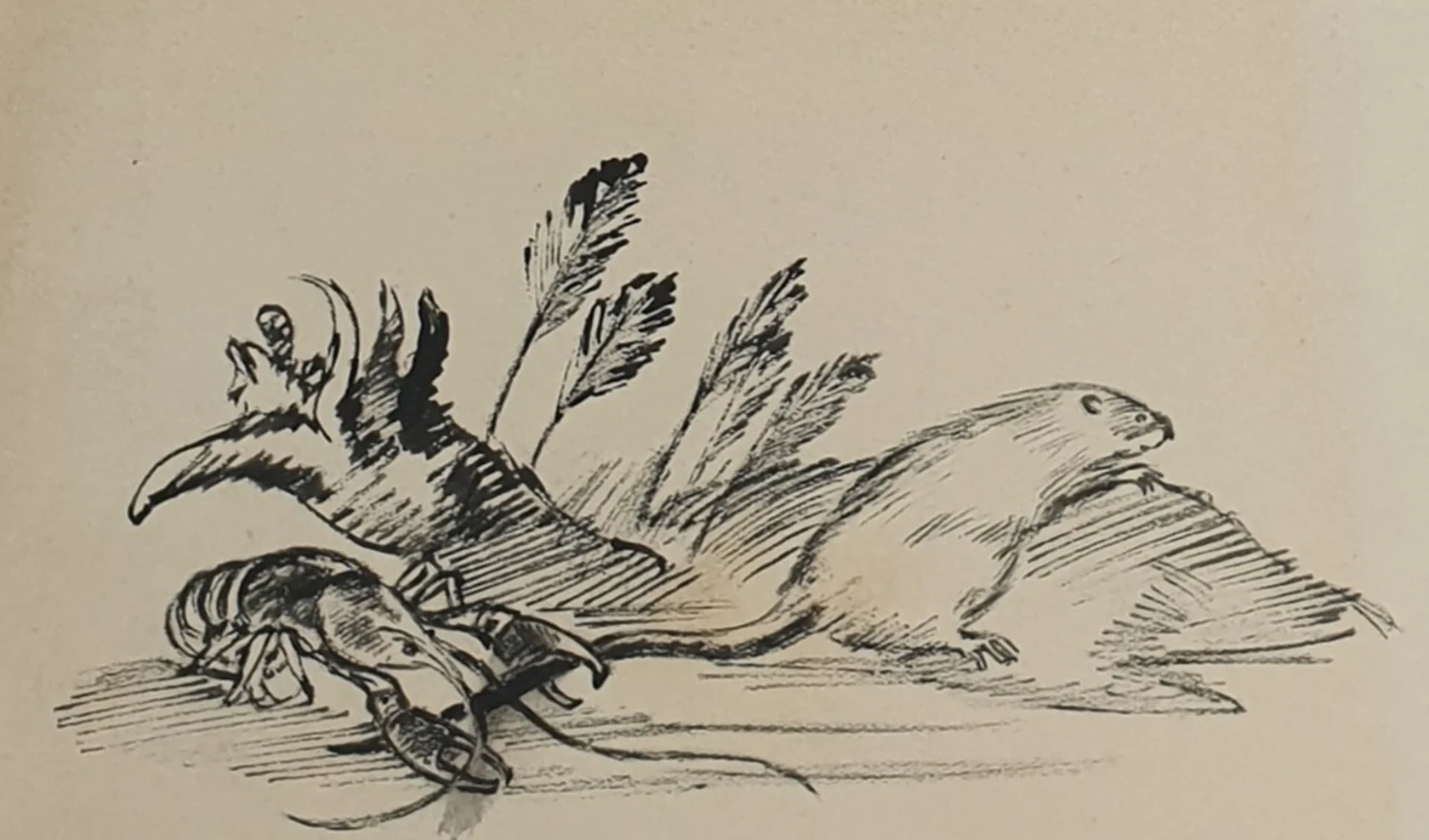 lot 45. «Где раки зимуют»