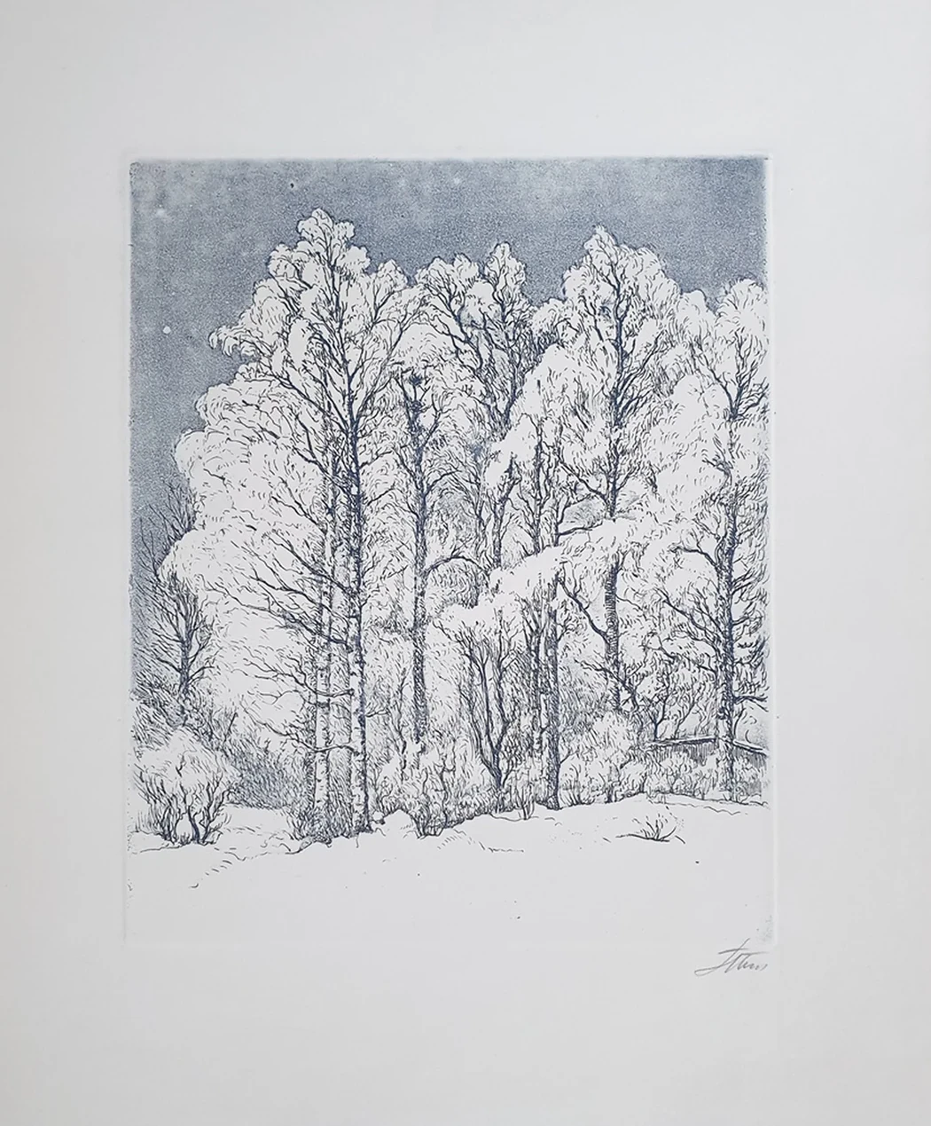 lot 19. «Иней»