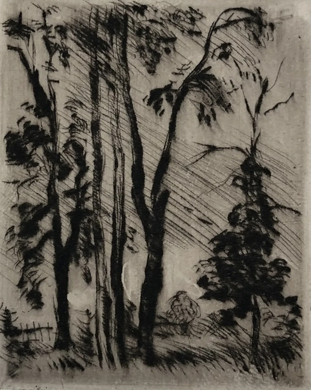 lot 178. «Сенеж, деревья»