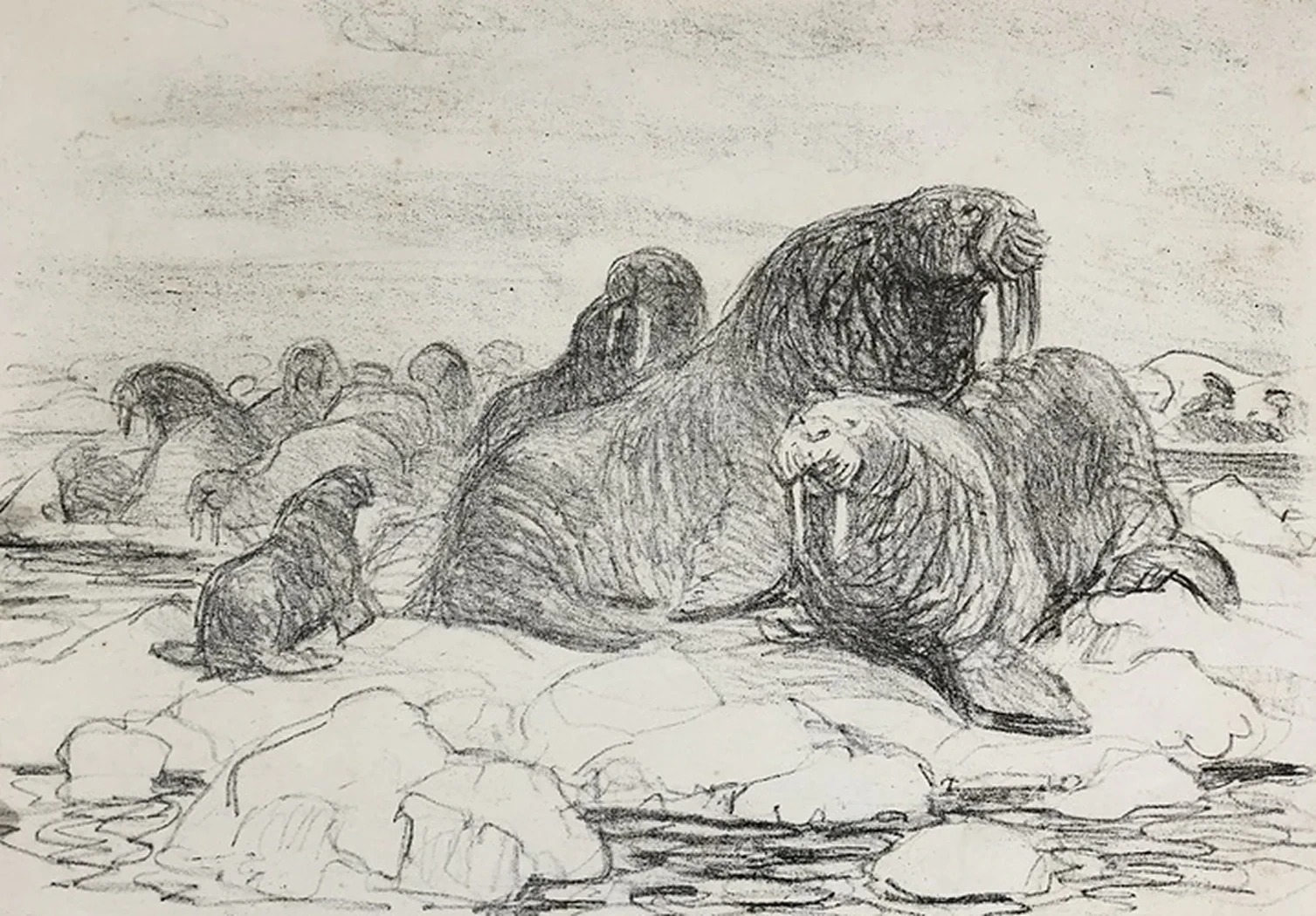 lot 183. «Моржи»