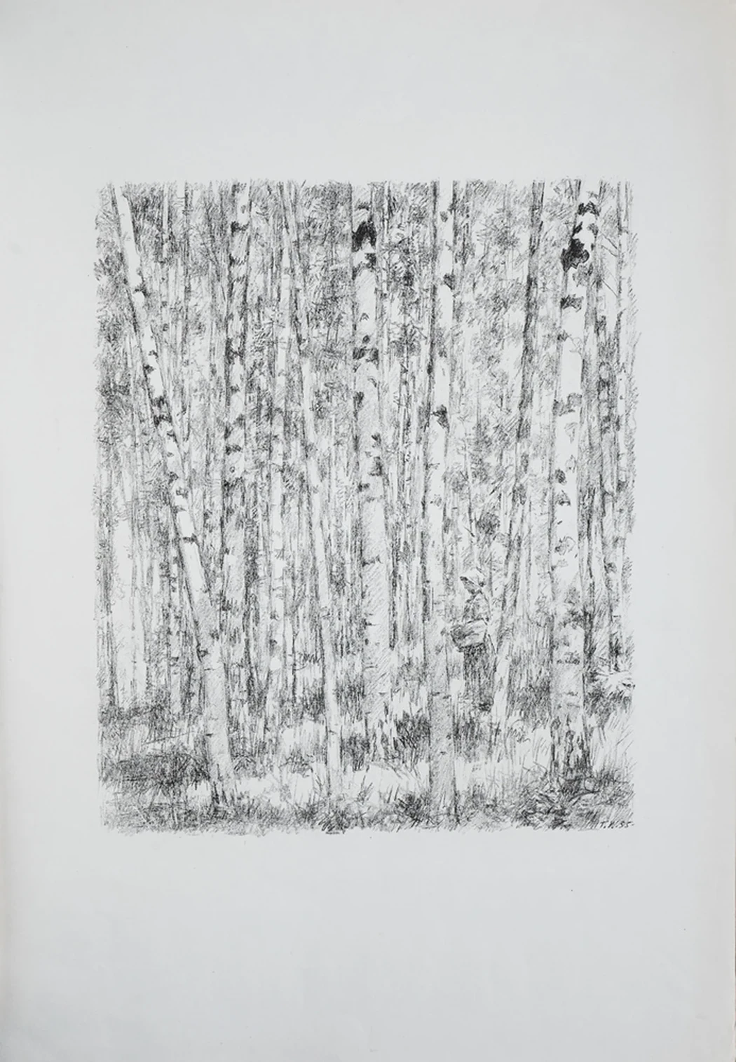 lot 154. «Лес»