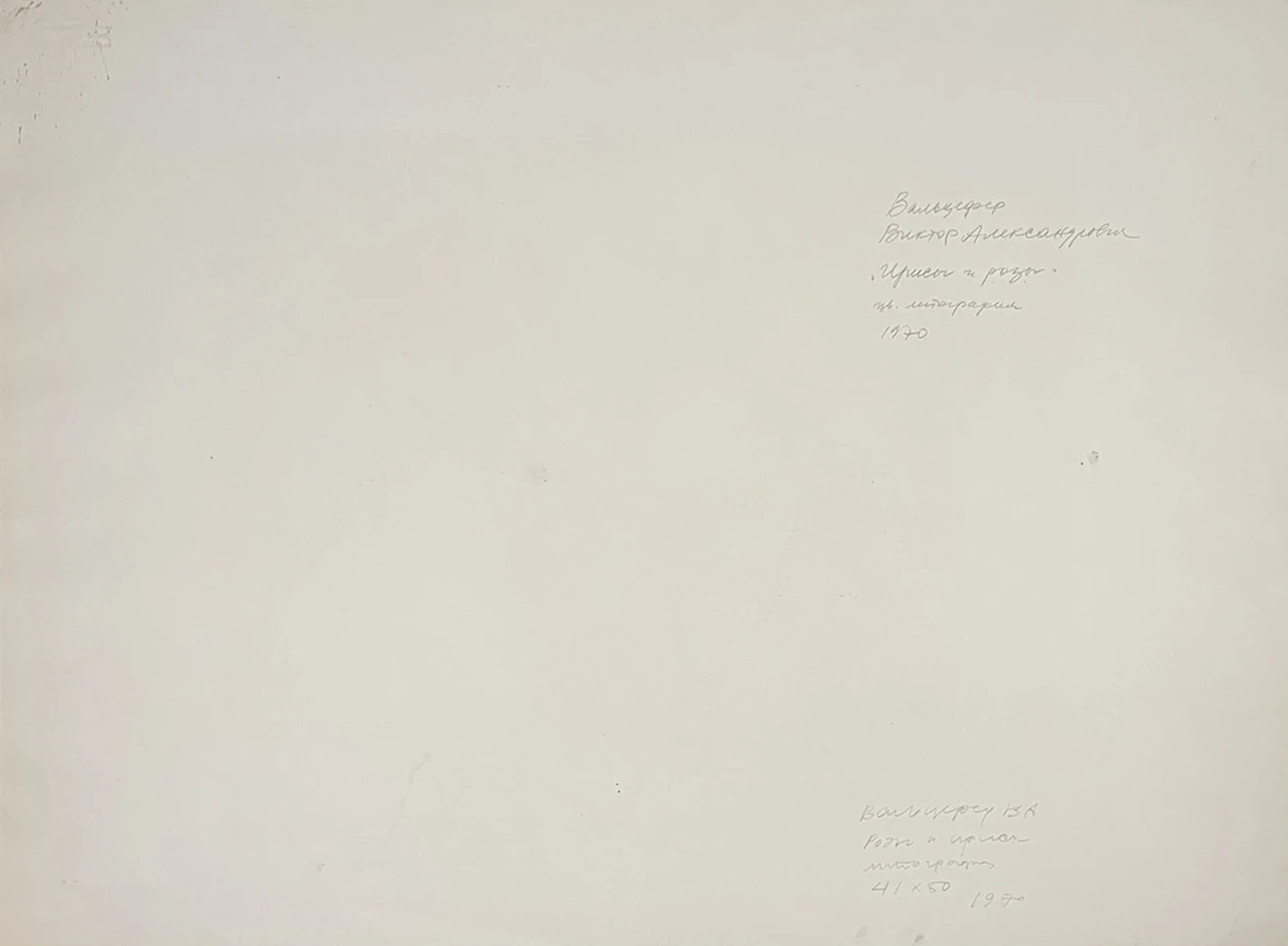 «Ирисы и розы»
