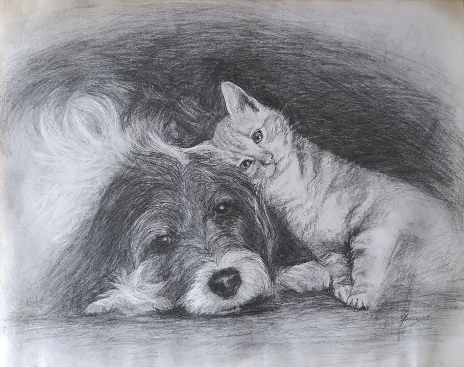 «Собака и кошка»