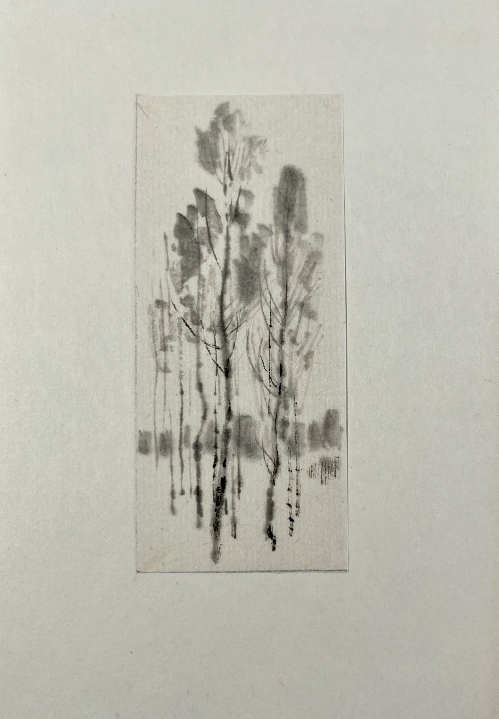 «Березки»,Звонцов В.