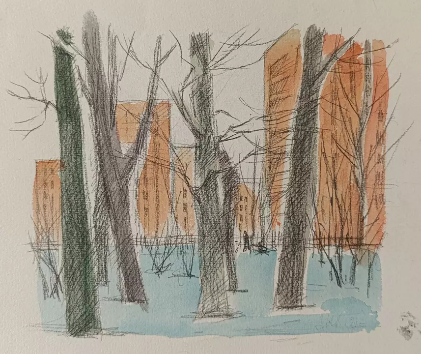 «Клёны» Ковалев А.С.