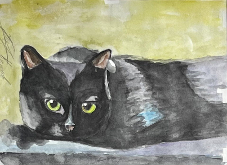 «Черный кот», 