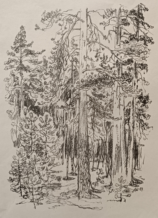 «Лесной пейзаж» Ковалев А.С.