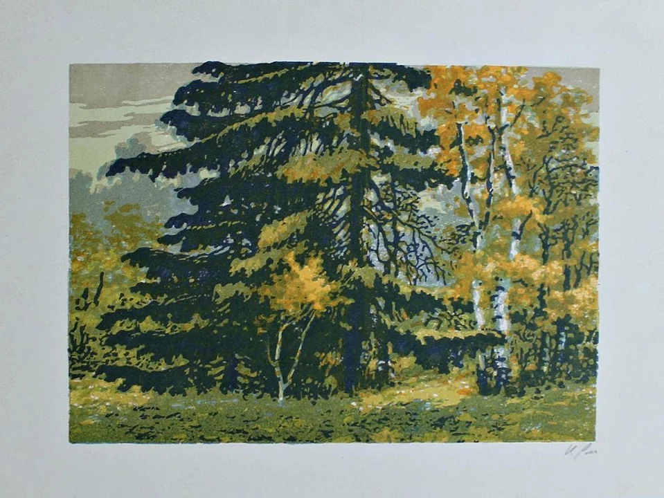 «Опушки леса»