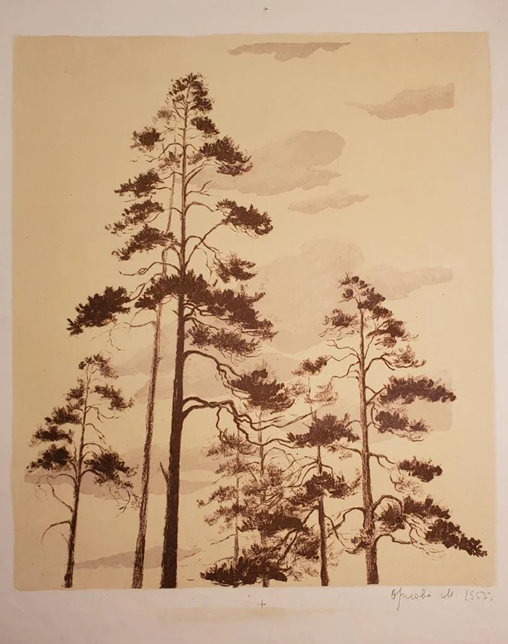«Сосны»