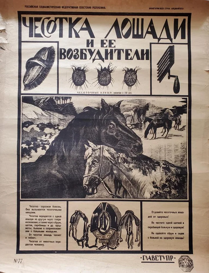 «Чесотка лошади»