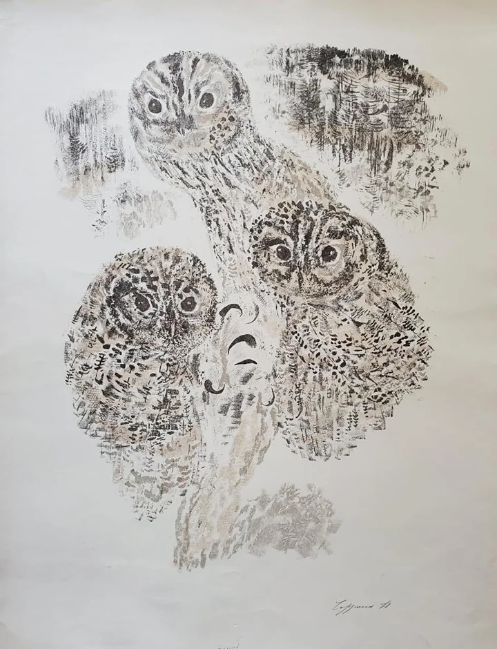 «Совы»