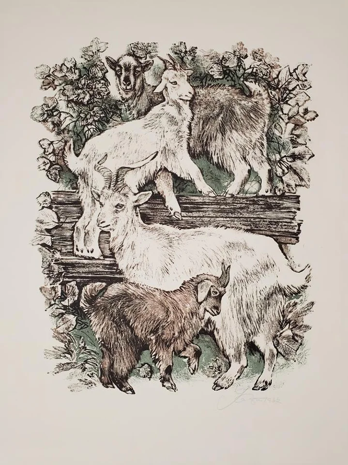 «Козочки»