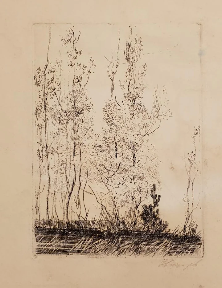 «Осинки»