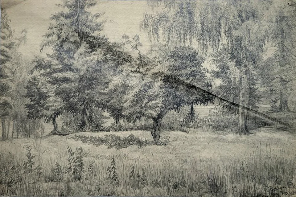 «Лес»