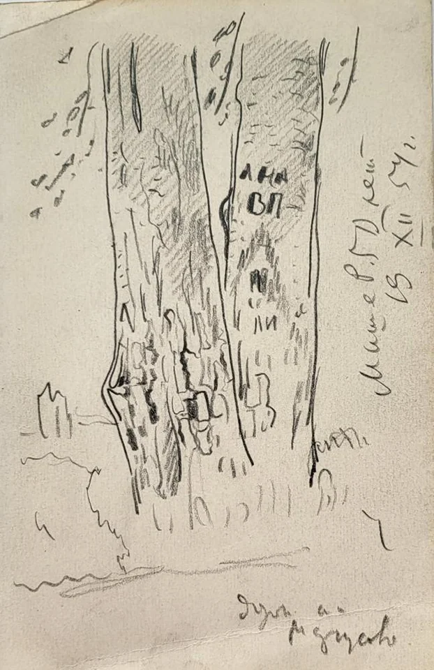 «Набросок», Тамби В.А., художник, купить картину, рисунок