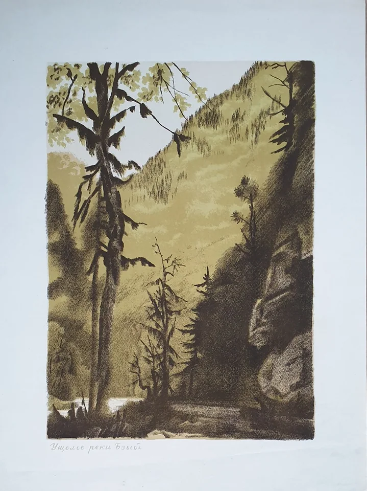 lot 9. «Ущелье реки Бзыбь»