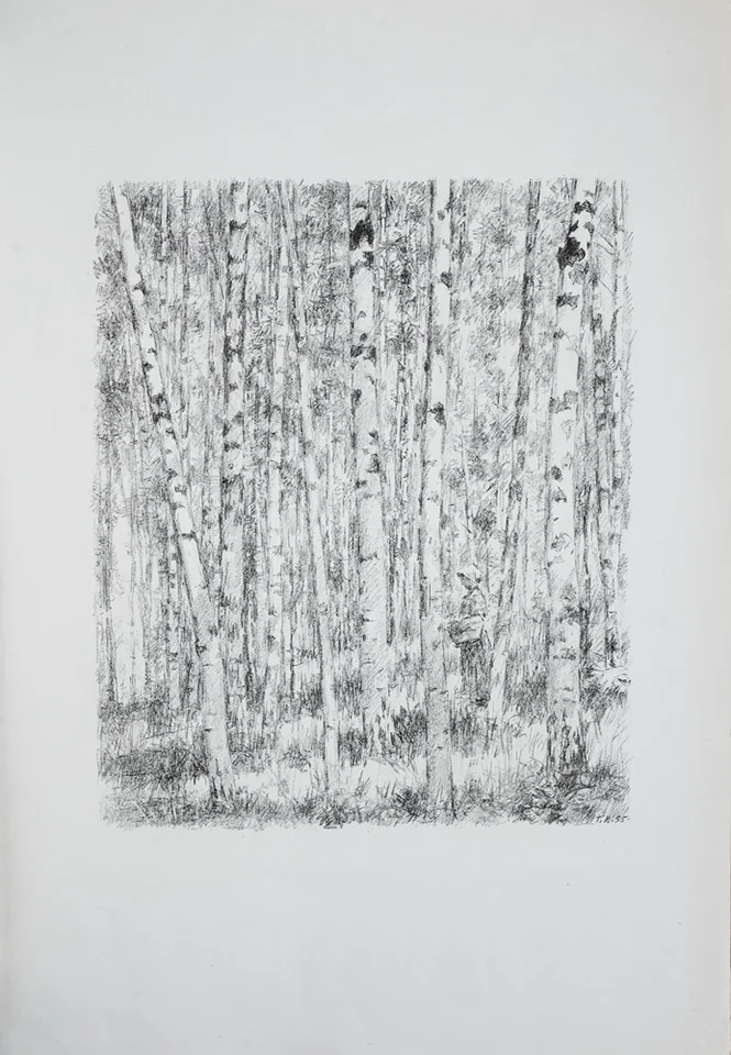 lot 154. «Лес»