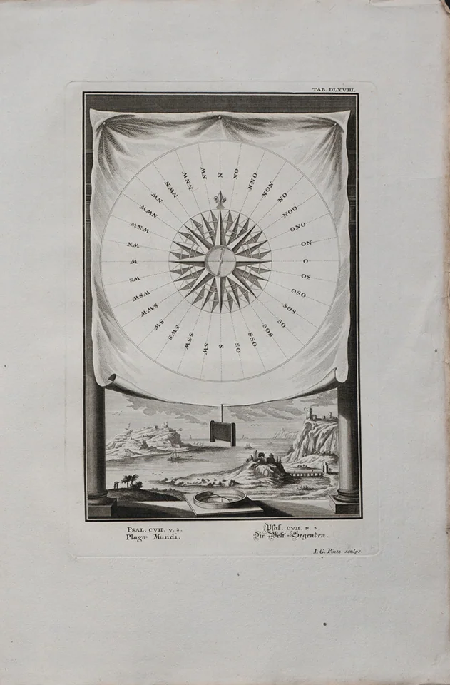 lot 16. «Роза ветров»