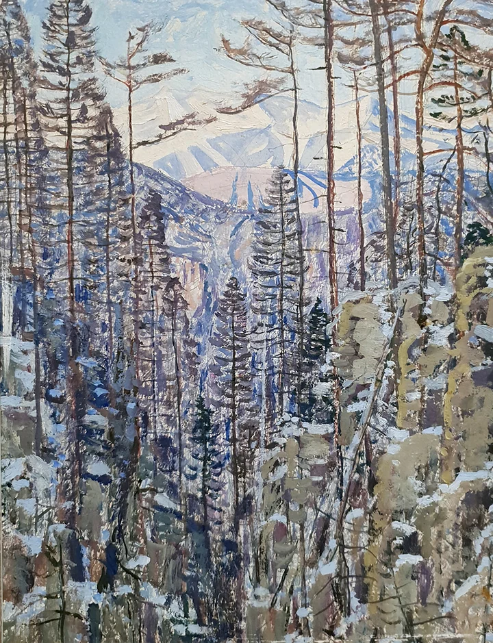 Лес на склоне горы 
