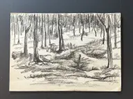 &laquo;Лес&raquo;