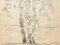 &laquo;Березы&raquo;