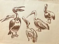 &laquo;Пеликаны&raquo;