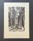 &laquo;Аллея&raquo;