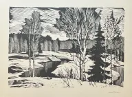 &laquo;Лесная река&raquo;
