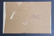 &laquo;Деревенские просторы&raquo;
