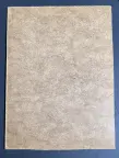 &laquo;Березовый лес&raquo;