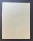 &laquo;Юные помощники&raquo;