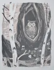 &laquo;В дупле березы&raquo;