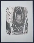 &laquo;В дупле березы&raquo;