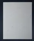 &laquo;Глоксиния&raquo;