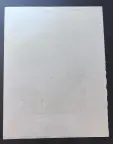 &laquo;Грибы&raquo;