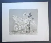 &laquo;Левкои&raquo;