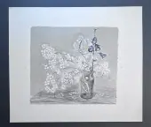 &laquo;Левкои&raquo;