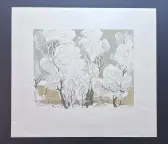 &laquo;Белая ночь&raquo;