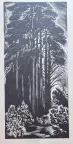 &laquo;Сосны&raquo;