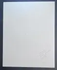 &laquo;Васильки&raquo;