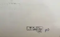 &laquo;Поцелуев мост. Мойка&raquo;